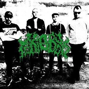 Toxic Boys - Toxicity in my shitty